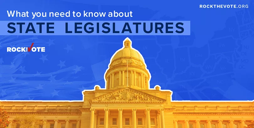 Decoding State Legislatures’ Unique Laws